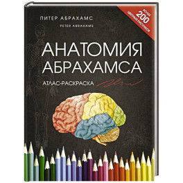 Атлас человека: профессионально-популярное издание