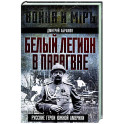 Белый легион в Парагвае. Русские герои Южной Америки