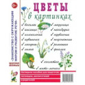 Цветы в картинках. Наглядное пособие для педагогов, воспитателей, логопедов и родителей