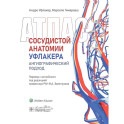 Атлас сосудистой анатомии Уфлакера. Ангиографический подход