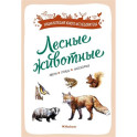 Лесные животные.Звери,птицы,насекомые