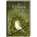 Птицы леса. Артбук