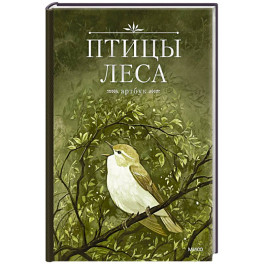 Птицы леса. Артбук