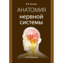 Анатомия нервной системы: учебное пособие