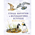 Птицы Камчатки и Командорских островов. Где найти и как узнать