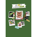 Блокнот My Cat Is a Serial Killer (рыжий кот)
