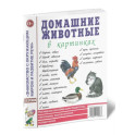 Домашние животные в картинках. Наглядное пособие для педагогов, логопедов, воспитателей и родителей