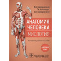 Анатомия человека. Миология. Карточки. Наглядное учебное пособие