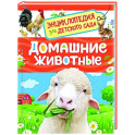 Домашние животные