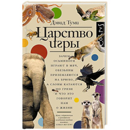 Царство игры