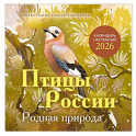 Птицы России. Родная природа. Календарь настенный на 2026 год