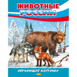 Животные России