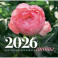 Пионы. Настенный календарь на 2026 год