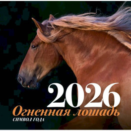 Символ года "Огненная лошадь". Настенный календарь на 2026 год
