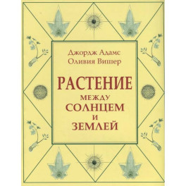 Растение между солнцем и землей: учение о физическом и эфирном пространстве
