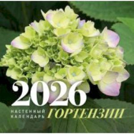 Гортензии. Настенный календарь на 2026 год