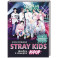 Stray Kids. Фанбук о лидерах K-pop