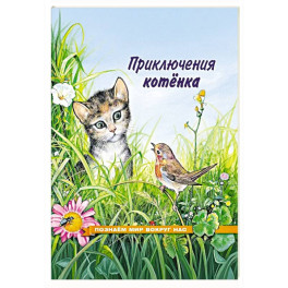 Приключения котенка