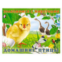 Домашние птицы