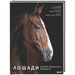 Лошади. Портреты, вдохновленные Рембрандтом. Эксклюзивный фотоальбом