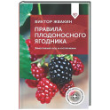 Правила плодоносного ягодника. Эффективный уход за кустарниками