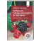 Правила плодоносного ягодника. Эффективный уход за кустарниками
