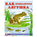 Как появляется лягушка