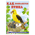 Как появляется птица