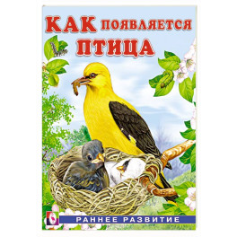 Как появляется птица