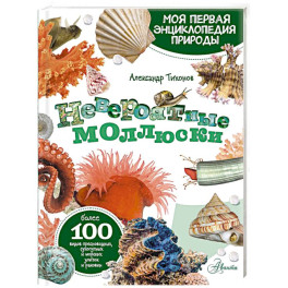 Невероятные моллюски