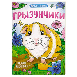 Грызунчики. Книжка-раскраска