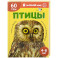 Птицы. Познавательная книга для детей 4-8 лет