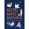 Кото-математика. От простого к сложному на пушистых примерах