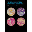Начальные методы клеточной биологии: Учебно-методическое пособие