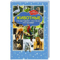 Животные. Кто как говорит? Кто что ест? Кто где живет? Книга для малышей