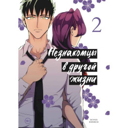 Незнакомцы в другой жизни. Том 2