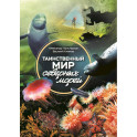 Таинственный мир северных морей