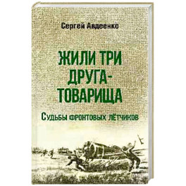 Жили три друга-товарища. Судьба фронтовых летчиков