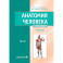 Анатомия человека. Учебник в 2-х томах. Том 2