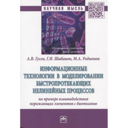 Информационные технологии в моделировании быстропротекающих нелинейных процессов