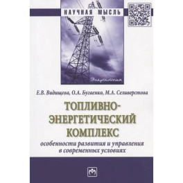 Топливно-энергетический комплекс:особенности развития и управления в современных условиях: Монография