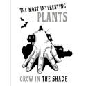 The most interesting plants grow in the shade. Вещь. Блокнот в точку