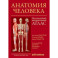 Анатомия человека:атлас