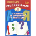 Русский язык 11 класс  Практикум по орфографии и пунктуации