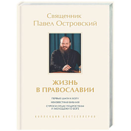 Жизнь в православии. Коллекция бестселлеров
