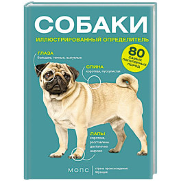 Собаки. 80 самых популярных пород. Иллюстрированный определитель