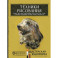 Техники рисования. Графит, цветные карандаши, уголь, пастель, тушь, сангина, восковые мелки, фломастеры и др.