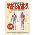Анатомия человека. Сердце и сосуды, нервная система, органы чувств, общий покров