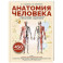 Анатомия человека. Сердце и сосуды, нервная система, органы чувств, общий покров