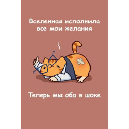 Авторский блокнот. Мурчальня. Вселенная исполнила все мои желания. Теперь мы оба в шоке